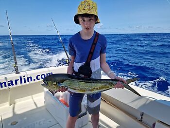 Mahi Mahi, Skipjack Tunfisk, Wahoo White Marlin Gran Canaria