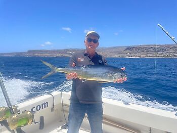 Mahi Mahi, Skipjack Tunfisk, Wahoo White Marlin Gran Canaria