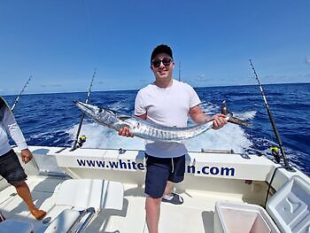 Mahi Mahi, Skipjack Tunfisk, Wahoo White Marlin Gran Canaria