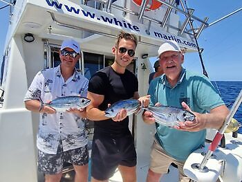 Mahi Mahi, Skipjack Tunfisk, Wahoo White Marlin Gran Canaria