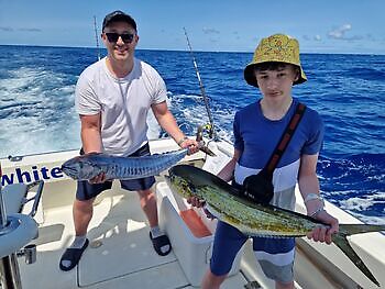Mahi Mahi, Skipjack Tunfisk, Wahoo White Marlin Gran Canaria