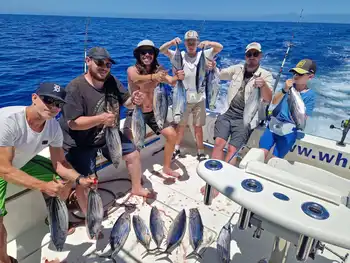 Massor av aktivitet!!! White Marlin Gran Canaria