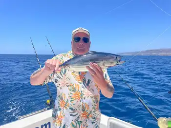 Massor av aktivitet!!! White Marlin Gran Canaria