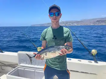 Massor av aktivitet!!! White Marlin Gran Canaria