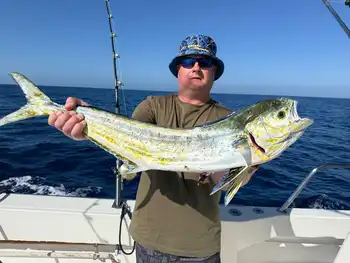 Massor av aktivitet!!! White Marlin Gran Canaria