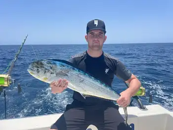 Sesongen begynner!!! White Marlin Gran Canaria