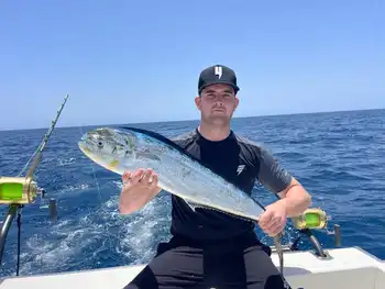 Sesongen begynner!!! White Marlin Gran Canaria
