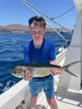 Sesongen begynner!!! White Marlin Gran Canaria