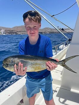 ¡¡¡La semana está que arde!!! White Marlin Gran Canaria