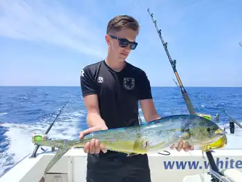 Very very crazy week!!! White Marlin Gran Canaria