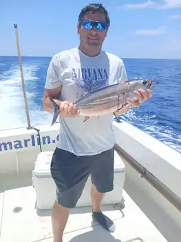 Very very crazy week!!! White Marlin Gran Canaria