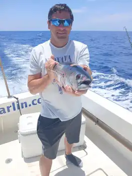 Very very crazy week!!! White Marlin Gran Canaria