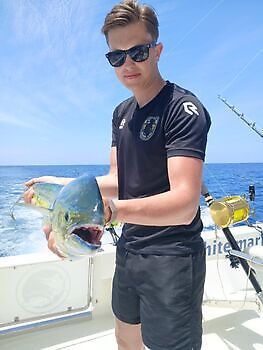 Marlin azul, peto, mahi mahi, atún barrilete….. White Marlin Gran Canaria