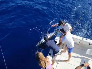 ¡¡¡Días perfectos!!! White Marlin Gran Canaria