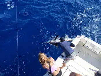 ¡¡¡Días perfectos!!! White Marlin Gran Canaria
