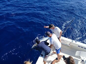 Días perfectos !!! White Marlin Gran Canaria