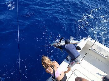Días perfectos !!! White Marlin Gran Canaria