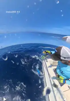 Die Woche ist der Hammer!!! White Marlin Gran Canaria