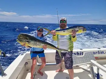 Blauer Marlin, Wahoo, Mahi Mahi, Echter Bonito….. White Marlin Gran Canaria