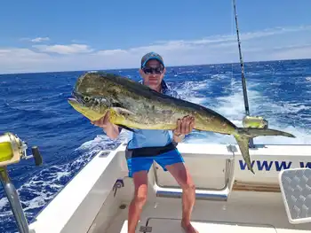 Blauer Marlin, Wahoo, Mahi Mahi, Echter Bonito….. White Marlin Gran Canaria