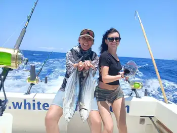 Blauer Marlin, Wahoo, Mahi Mahi, Echter Bonito….. White Marlin Gran Canaria