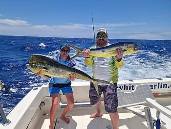 Marlin azul, peto, mahi mahi, atún barrilete….. White Marlin Gran Canaria