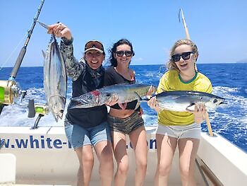 Marlin azul, peto, mahi mahi, atún barrilete….. White Marlin Gran Canaria