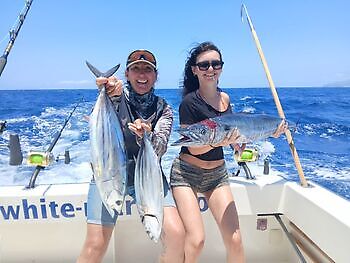 Marlin azul, peto, mahi mahi, atún barrilete….. White Marlin Gran Canaria