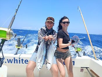 Marlin azul, peto, mahi mahi, atún barrilete….. White Marlin Gran Canaria