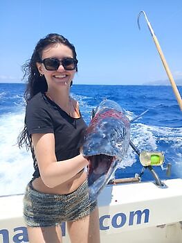 Marlin azul, peto, mahi mahi, atún barrilete….. White Marlin Gran Canaria