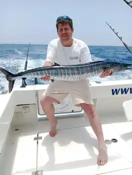 Wahoo, Skipjack-tonfisk!! White Marlin Gran Canaria