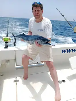Wahoo, Skipjack-tonfisk!! White Marlin Gran Canaria