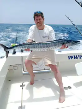 Wahoo, Skipjack-tonfisk!! White Marlin Gran Canaria