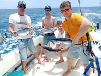 Wahoo, Skipjack-tonfisk!! White Marlin Gran Canaria
