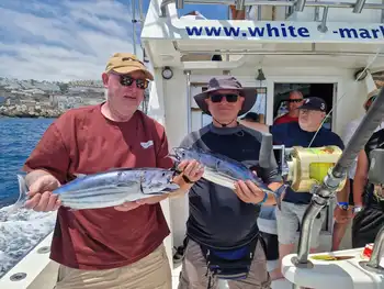 ¡¡¡Más Wahoooo!!! White Marlin Gran Canaria