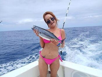 ¡¡¡Marlin, Mahi Mahi, Atún listado, Atún del Atlántico!!! White Marlin Gran Canaria