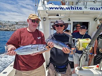 ¡¡¡Marlin, Mahi Mahi, Atún listado, Atún del Atlántico!!! White Marlin Gran Canaria