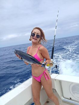 ¡¡¡Marlin, Mahi Mahi, Atún listado, Atún del Atlántico!!! White Marlin Gran Canaria