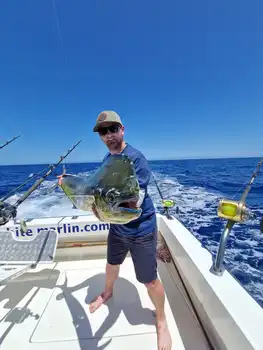 Mahi Mahi, Wahoo!!! White Marlin Gran Canaria