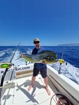 Mahi Mahi, Wahoo!!! White Marlin Gran Canaria