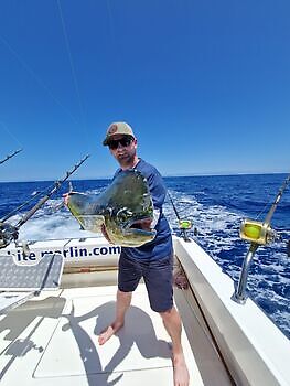 ¡¡¡Marlín azul !!! White Marlin Gran Canaria