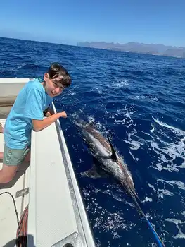 Marlin, Mahi Mahi, Skipjack-tunfisk, atlantisk tunfisk!!! White Marlin Gran Canaria