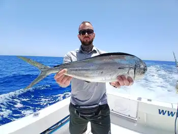 Marlin, Mahi Mahi, Skipjack-tunfisk, atlantisk tunfisk!!! White Marlin Gran Canaria