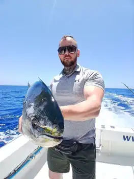 Marlin, Mahi Mahi, Skipjack-tunfisk, atlantisk tunfisk!!! White Marlin Gran Canaria