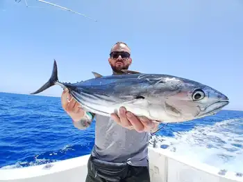 Marlin, Mahi Mahi, Skipjack-tunfisk, atlantisk tunfisk!!! White Marlin Gran Canaria