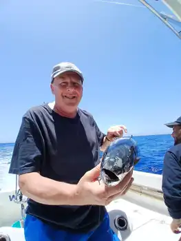 Marlin, Mahi Mahi, Skipjack-tunfisk, atlantisk tunfisk!!! White Marlin Gran Canaria