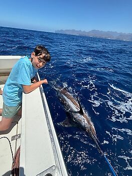 ¡¡¡Marlin, Mahi Mahi, Atún listado, Atún del Atlántico!!! White Marlin Gran Canaria