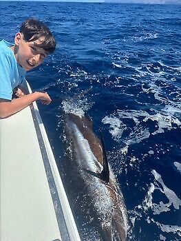 ¡¡¡Marlin, Mahi Mahi, Atún listado, Atún del Atlántico!!! White Marlin Gran Canaria