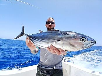 ¡¡¡Marlin, Mahi Mahi, Atún listado, Atún del Atlántico!!! White Marlin Gran Canaria