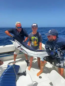 Blå marlin, spydfisk, hvit marlin White Marlin Gran Canaria